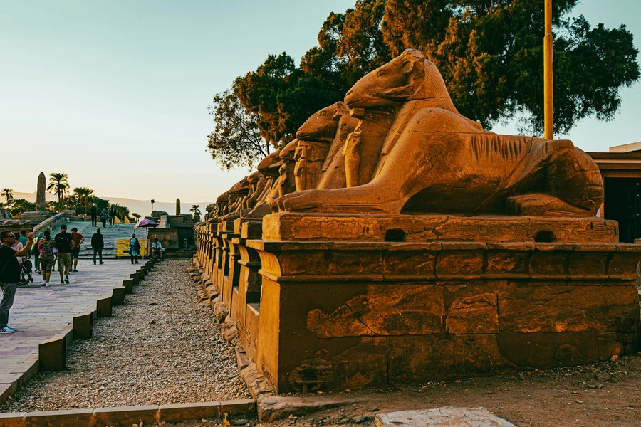 Alley of the Sphinxes